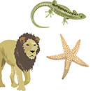 Thumbnail for various animals illustration