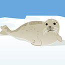 Thumbnail for draw me like one of your french seals illustration