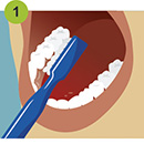 Thumbnail for brushing teeth illustration