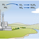 Thumbnail for pollution illustration