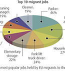 Thumbnail for migrant jobs pie chart