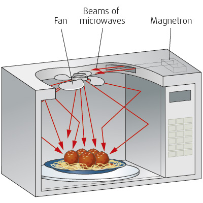 Microwaving meatballs illustration
