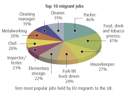 Migrant jobs pie chart illustration