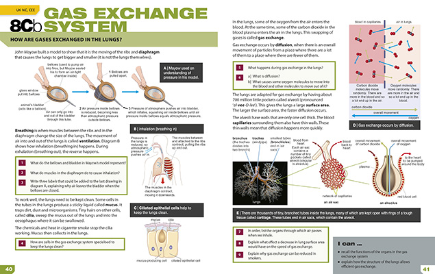 Gallery image for Exploring science year 8 spread