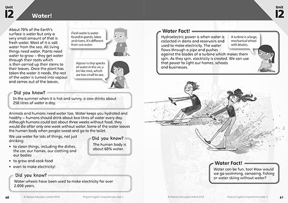 Gallery image for Pinpoint comprehension Y3 spread