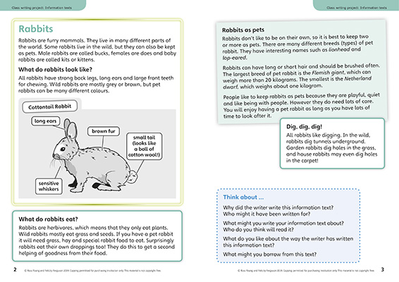 Gallery image for Power English Y3 information spread