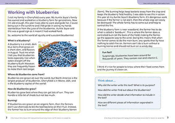 Gallery image for Power English Y5 information spread